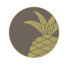 circlepineapple-1